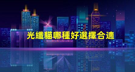 光纖貓哪種好選擇合適光纖貓的終極指南