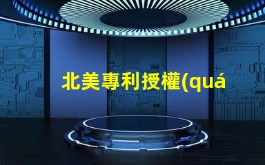 北美專利授權(quán)2121燈珠us8124988b2專利技術(shù)詳解,為何備受行業(yè)青睞
