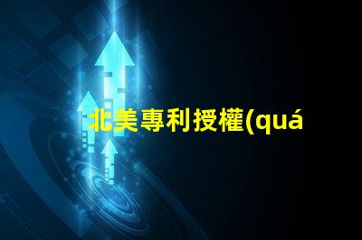 北美專利授權(quán)3030燈珠專利號US8124988B2解析—這款LED燈珠為何備受青睞
