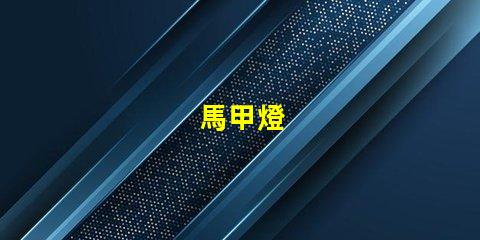 馬甲燈