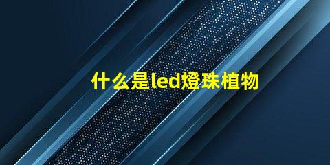什么是led燈珠植物燈生長燈珠
